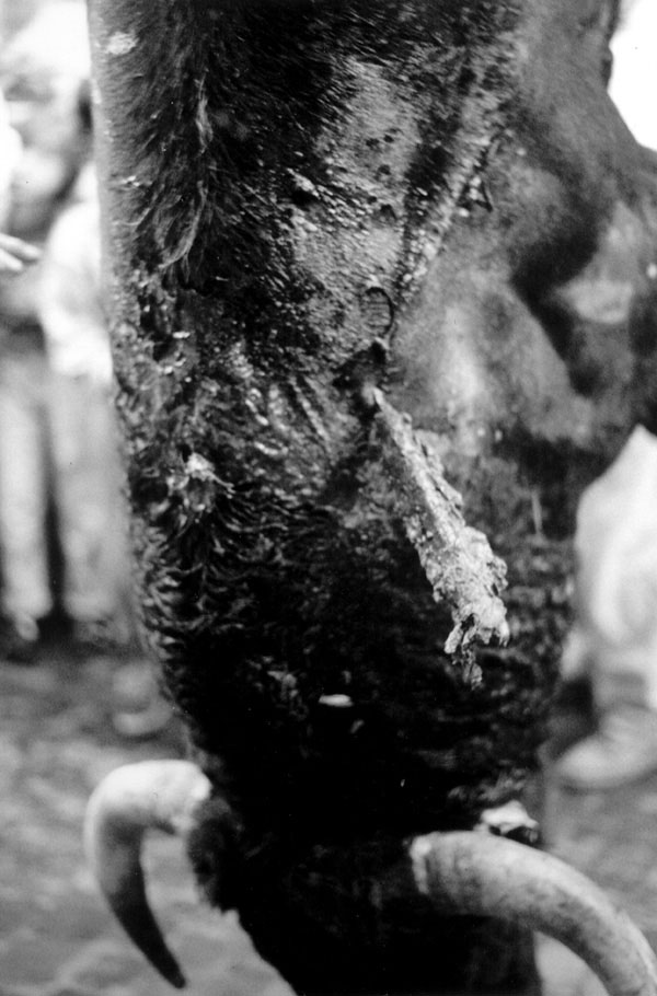 Exposición fotográfica 'La otra cara de la fiesta'