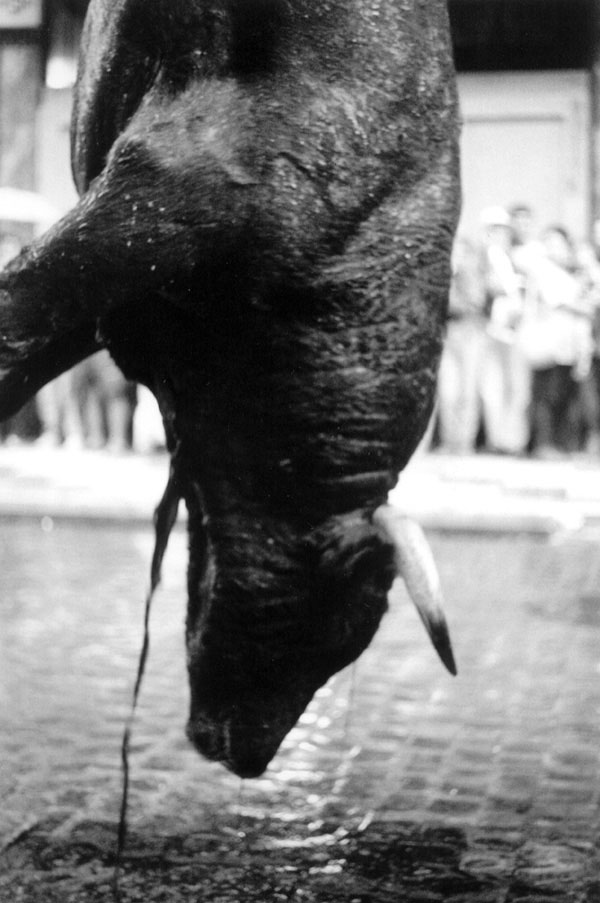 Exposición fotográfica 'La otra cara de la fiesta'