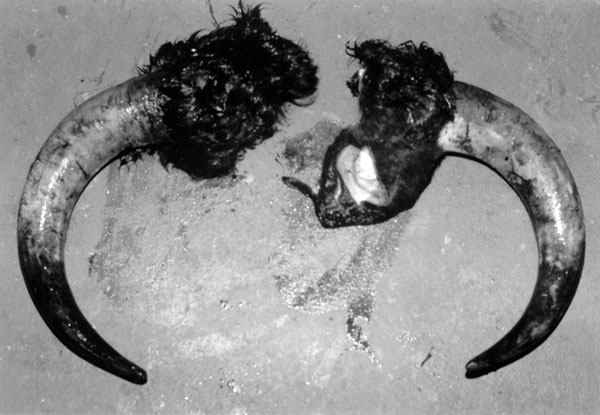 Exposición fotográfica 'La otra cara de la fiesta'