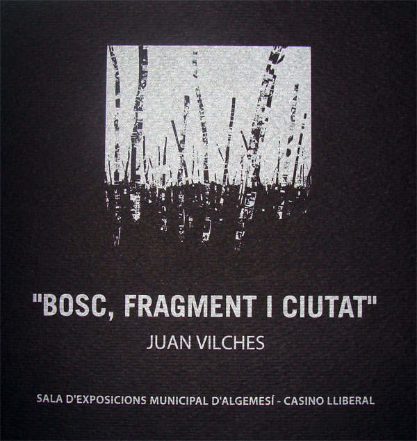 Bosc, fragment i ciutat